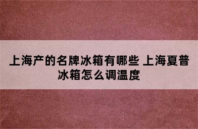 上海产的名牌冰箱有哪些 上海夏普冰箱怎么调温度